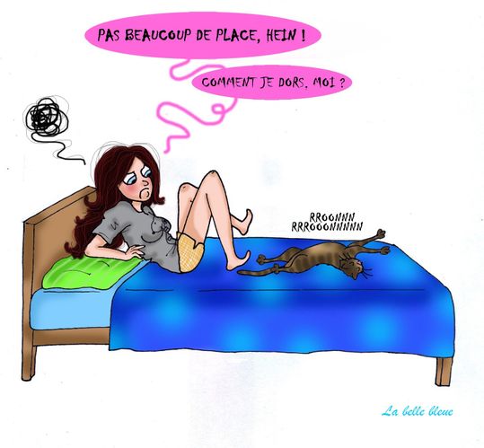 chat2-copie-1.jpg