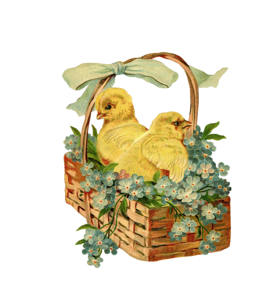 3122011 panier poussin