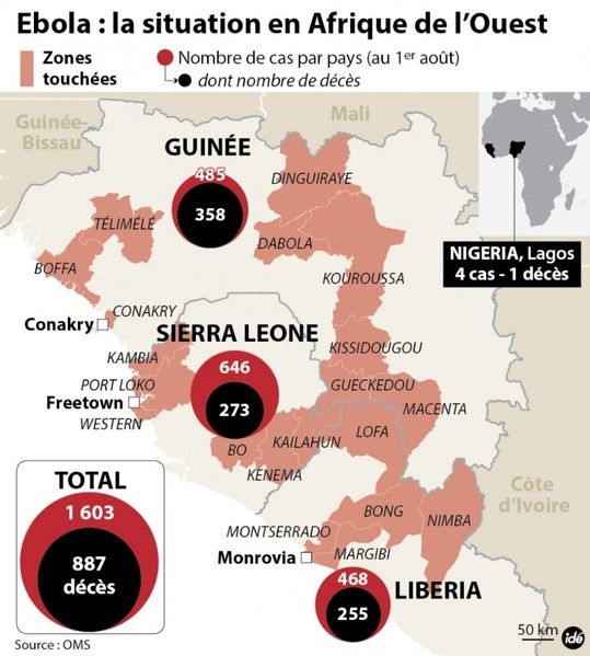 1634136_ebola-1200_800x889p.jpg