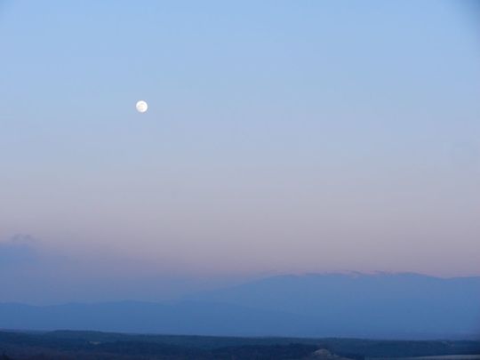 Reduite__01-copie-8.JPG