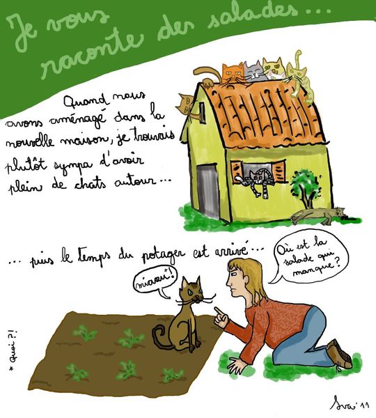 chats-et-salades.jpg