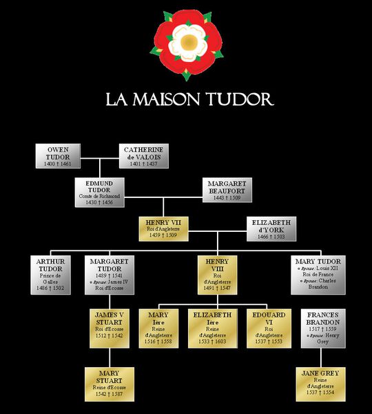 Angleterre--Tudors-Genealogie.jpg