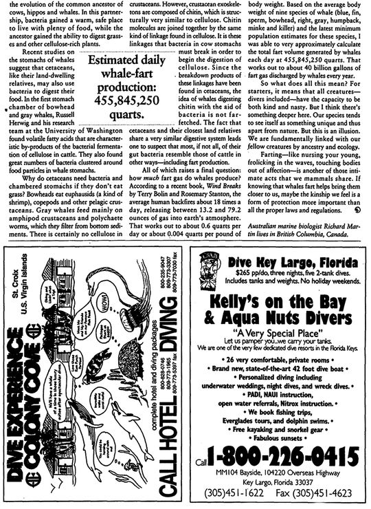 0104 Article baleines B