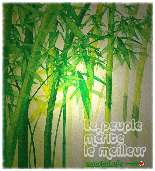 AAArtois_meilleur-bamboo.jpg
