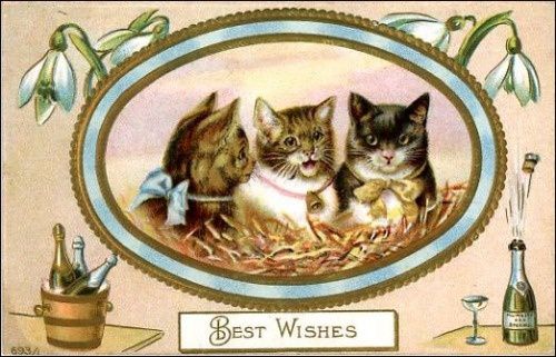 vintage-happy-new-year-cards-three-cats-champagne.jpg