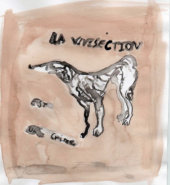 vivisection-crime