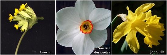 2010-11-20.JPG