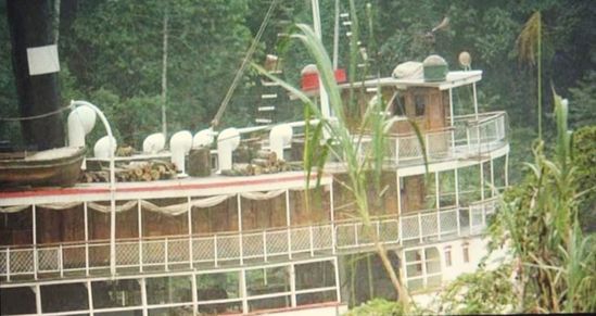 Dans-la-jungle-JPG