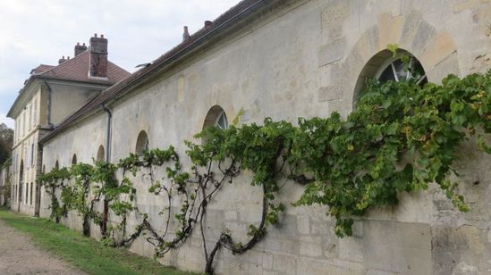le-potager-jardin-de-l-abbaye-de-Royaumont 1095