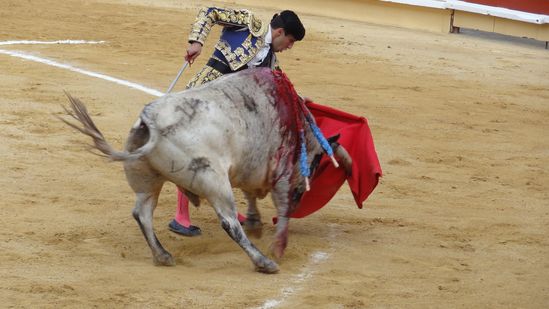Bayonne-2012-Cebada-Gago-J-Castano-024.JPG