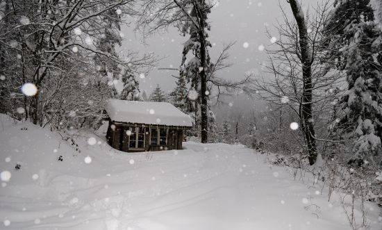 DONON-NEIGE 0235
