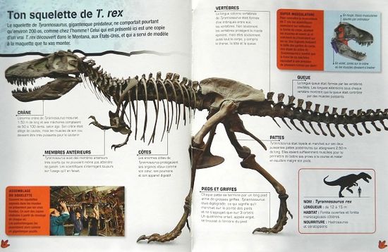 Enormissime-T.Rex-2.JPG