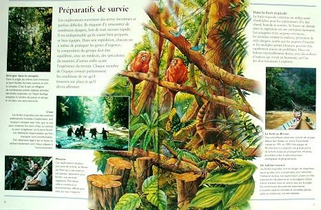 Les--explorateurs-2.JPG
