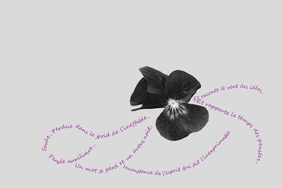 pensée