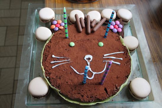 gateau d anniversaire chat - Gâteaux De Chat sur Pinterest Gâteau Pour Chaton 