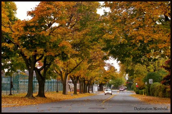 Dans les rues de Lachine