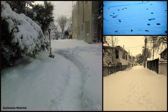 2014-12-14 neige (6)