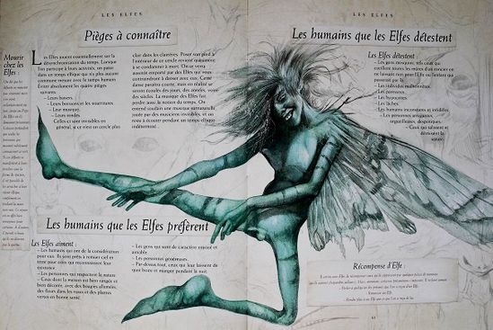 Le Livre secret des elfes