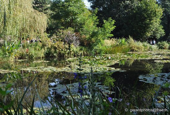 Giverny--C.Monet---Jardin-d-eau---16-c-gerardphotos-free.f.jpg
