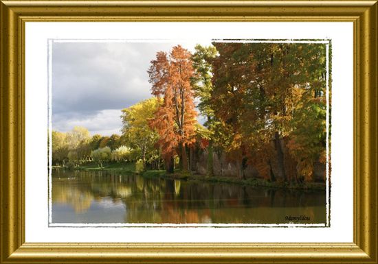 20-Feux-Automne