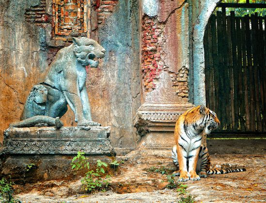 Tigre-statue.jpg