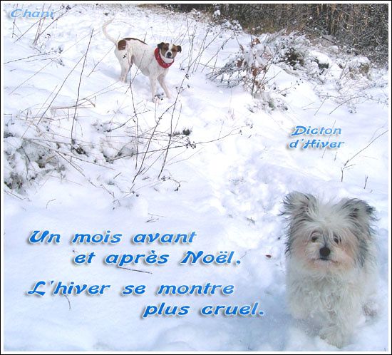 Les Saisons - Page 4 Carte-dicton-hiver-05