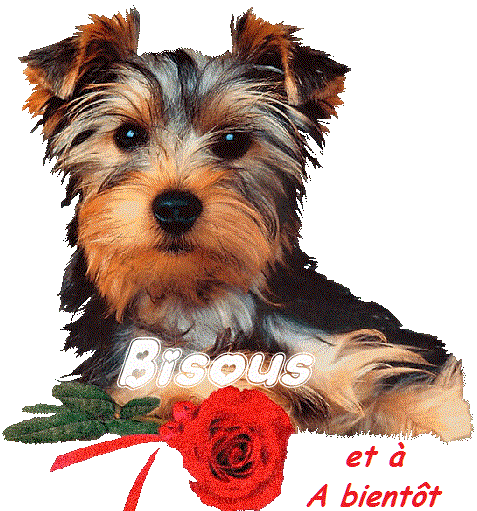 Bisous