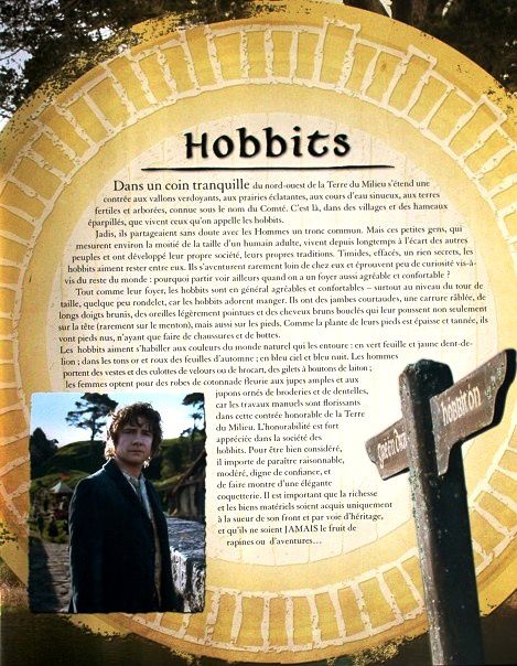 Le Hobbit un voyage inattendu le livre du film 2