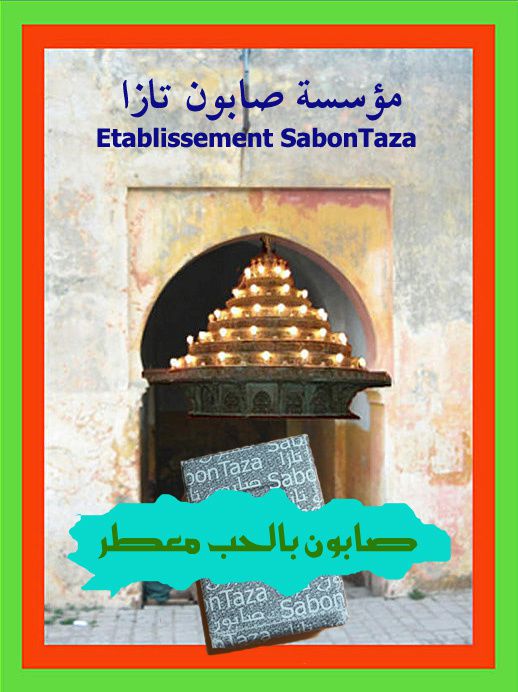Logo_Etablissement-SabonTaza-JDAG.jpg