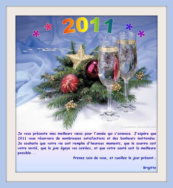 voeux2011
