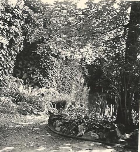 AV1 6