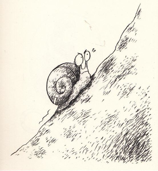 formose image2