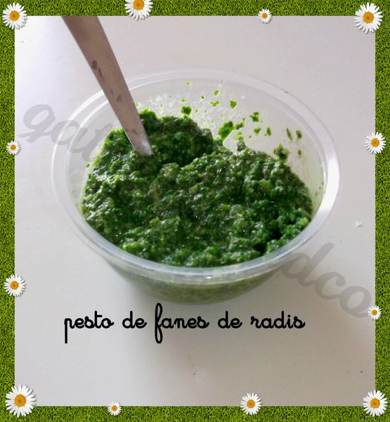 pesto-radis.jpg