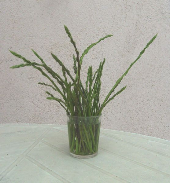 asperges.JPG
