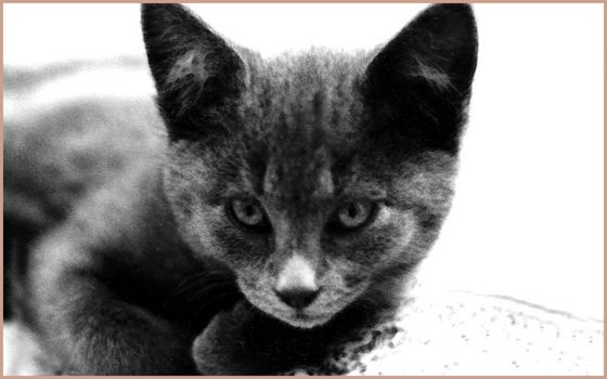 INSTANTS T 22 (3)