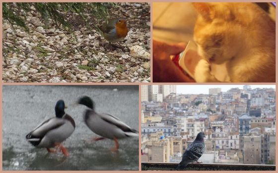 INSTANTS T 22 (9)