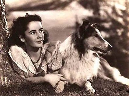 lassie.jpg