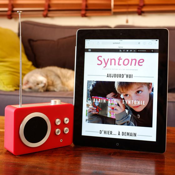 Syntone Cat Square