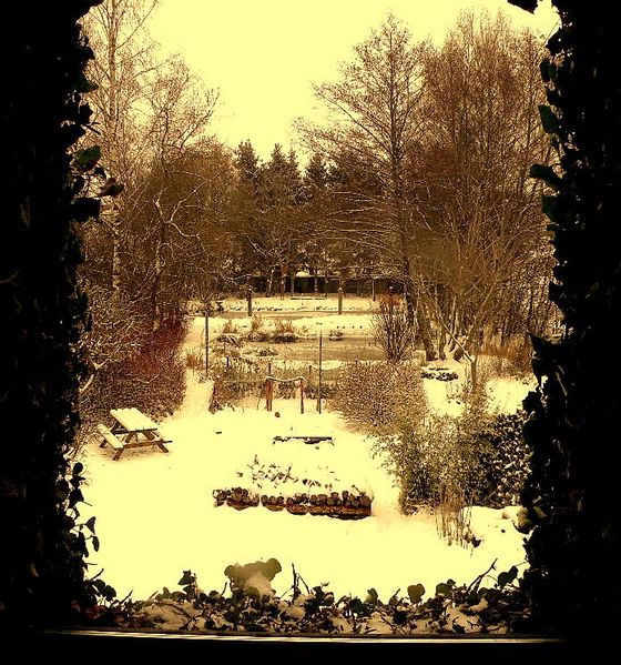 Neige 2009-2 001