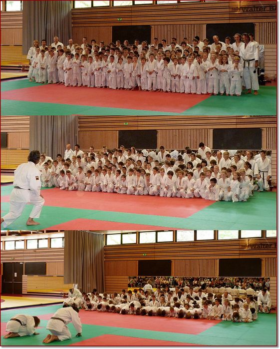 groupe judo