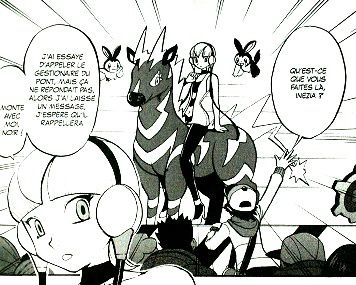 Pokemon-T.IV-4.JPG