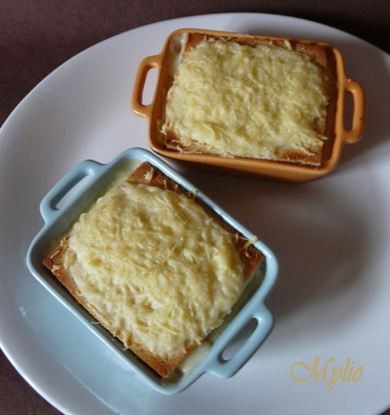 cro-cotte monsieur 1