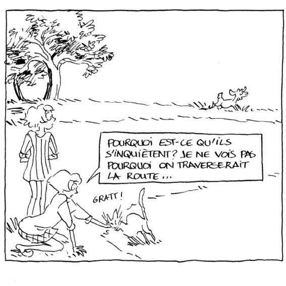Chat-perche--1.jpg