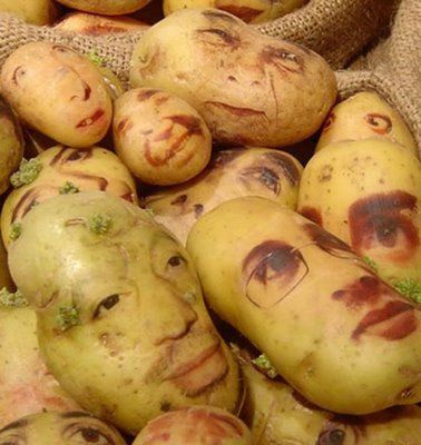 portrait-patate2.jpg