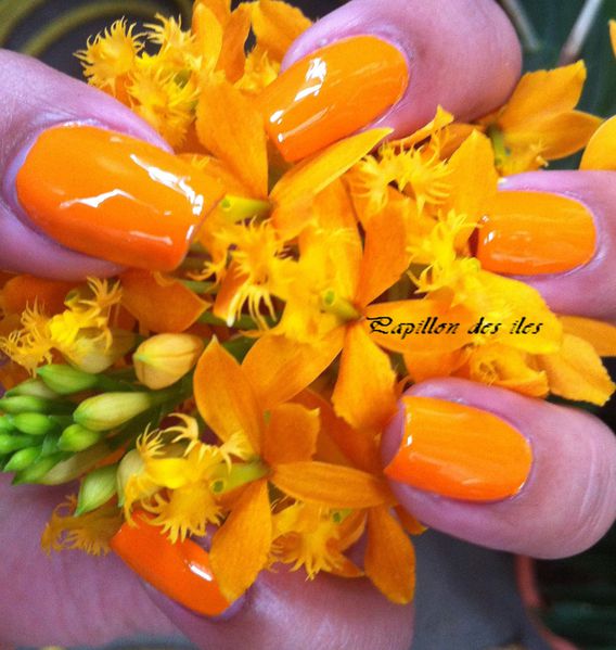 Chine-glaçure-papaye-punch 4273