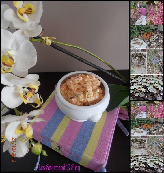 rillettes-saumon.jpg