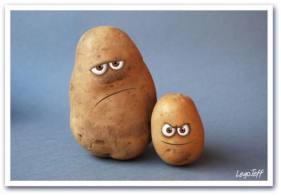 patates-photo