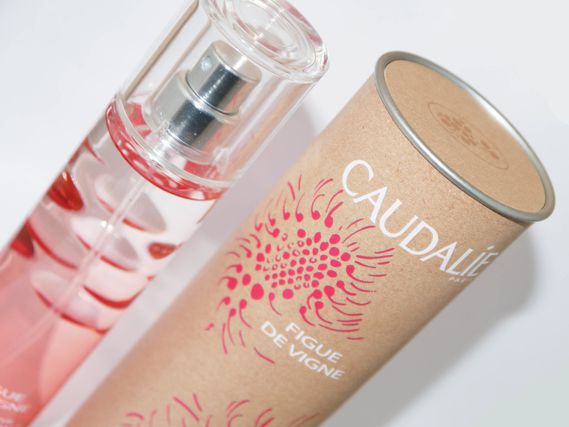 caudalie figue de vigne eau fraiche