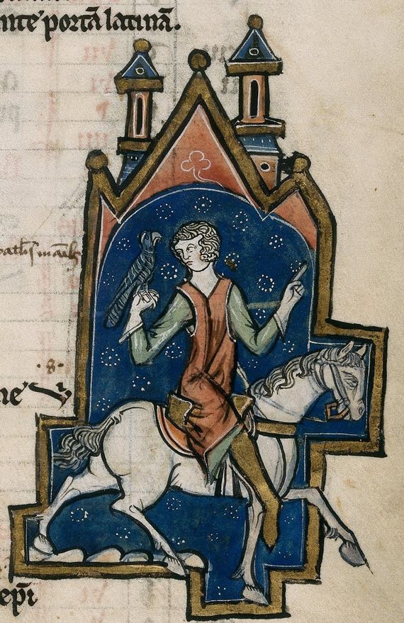 homme chassant au faucon
