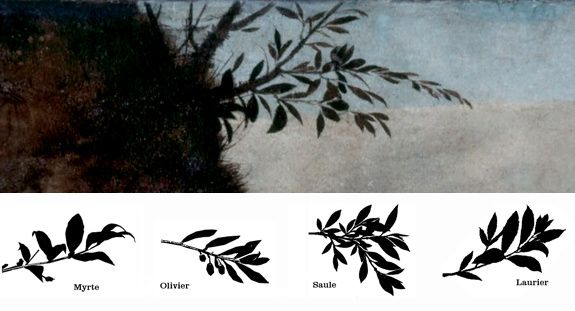 compare_g_saule.jpg